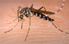 Sr citizen of Kadaba dies, a suspected dengue case